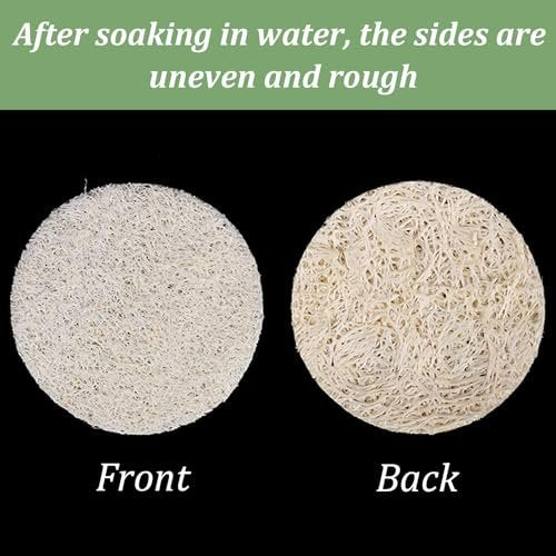 Nogeqi 30 Stück 5,5 cm Natürliche Luffa-Schwamm-Pads für die Gesichtsreinigung, Peeling Körper- und Gesichtspeeling-Pads für Make-up-Entfernung und abgestorbene Hautzellen für Damen und Herren (eine Seite aufgeweicht)
