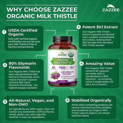 Zazzee USDA Bio Mariendistel 30:1 Extrakt, 80 % Silymarin, 60 vegane Kapseln, 2 Monate Vorrat, zertifiziert koscher, hochwirksame Leber- & Antioxidans-Unterstützung, Silybum Marianum, nicht gentechnisch verändert, hergestellt in den USA