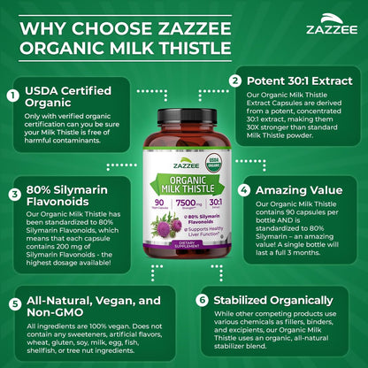 Zazzee Bio-Mariendistel 30:1 Extrakt, 80 % Silymarin, 90 vegane Kapseln, 3-Monats-Vorrat, zertifiziert koscher, hochpotente Leber- & Antioxidans-Unterstützung, Silybum Marianum, Non-GMO, hergestellt in den USA