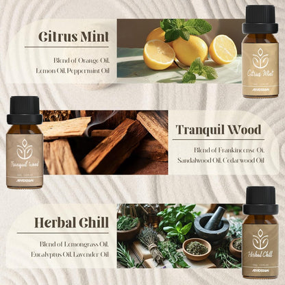 ARVIDSSON Zen Essential Oils Set – 6 natürliche Aromatherapieöle für Diffuser, Zuhause & Geschenke für Frauen