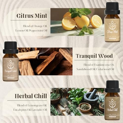 ARVIDSSON Zen Essential Oils Set – 6 natürliche Aromatherapieöle für Diffuser, Zuhause & Geschenke für Frauen