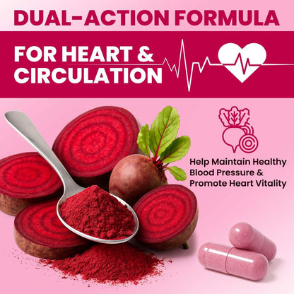 ZENVIVIAN Rote Bete Kapseln – 1300mg Non-GMO Rote Bete Pulver Nahrungsergänzungsmittel – 60 vegane Kapseln für natürliche Energie, Durchblutung & Ausdauer