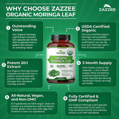 Zazzee Bio Moringa Blatt 20:1 Extrakt, 1000 mg pro Portion, 120 vegane Kapseln, 2-Monats-Vorrat, zertifiziert koscher, Moringa Oleifera, Antioxidans, Immun- & Zellunterstützung, hergestellt in den USA
