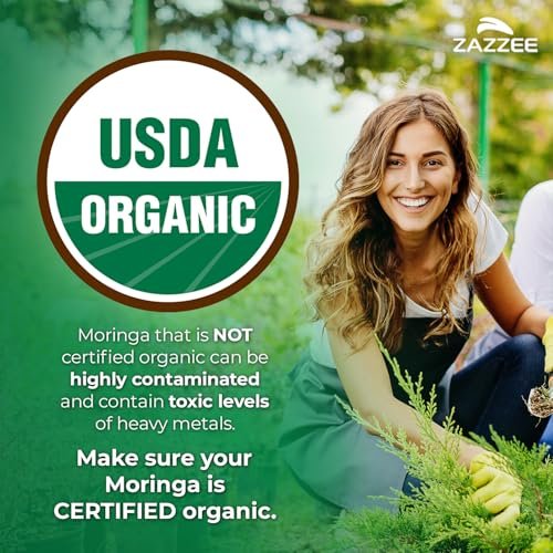 Zazzee Bio Moringa Blatt 20:1 Extrakt, 1000 mg pro Portion, 120 vegane Kapseln, 2-Monats-Vorrat, zertifiziert koscher, Moringa Oleifera, Antioxidans, Immun- & Zellunterstützung, hergestellt in den USA