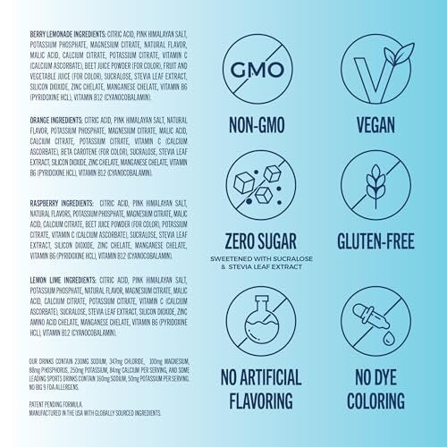 TREVI™ Everyday Sugar Free Electrolytes – Hydration Pulver-Päckchen – Original Variety Pack – 8 Portionen – Berry Lemonade, Lemon Lime, Raspberry, Orange