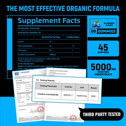 NSF-zertifizierte Creatine Gummis – Creatin-Monohydrat Gummibärchen 5g für Männer & Frauen – Steigert Fokus, Kraft und Ausdauer, vegan, glutenfrei, nicht-GVO, 2,5 g Creatin pro Gummibärchen (Blaubeere 90 Stück)