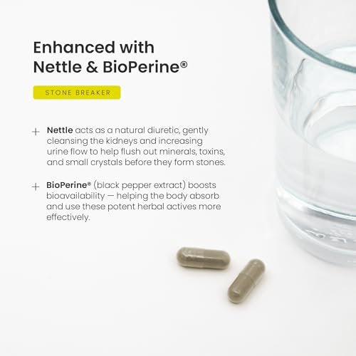 NutraChamps Chanca Piedra Stone Breaker – Nieren- und Gallenblasenunterstützung, Harnwegs- und Kalziumoxalat-Balance mit Brennnesselblatt & BioPerine, 180 Kapseln