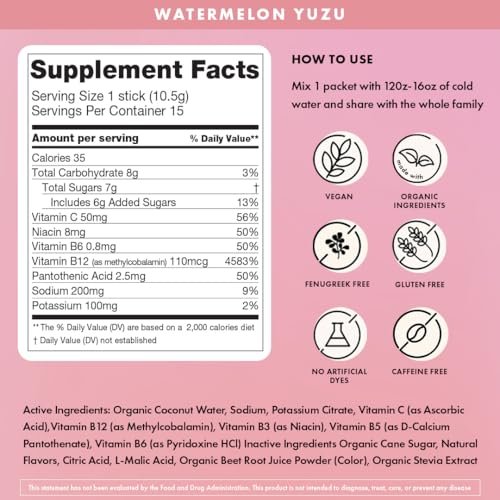 Boobie Hydromom Superfood Electrolyte Drink Mix, Blaubeer-Zitronen-Limonade | Erfrischender Energie- und Hydratations-Boost für Mamas | Für Schwangerschaft, Stillzeit & darüber hinaus, 10 Portionsbeutel