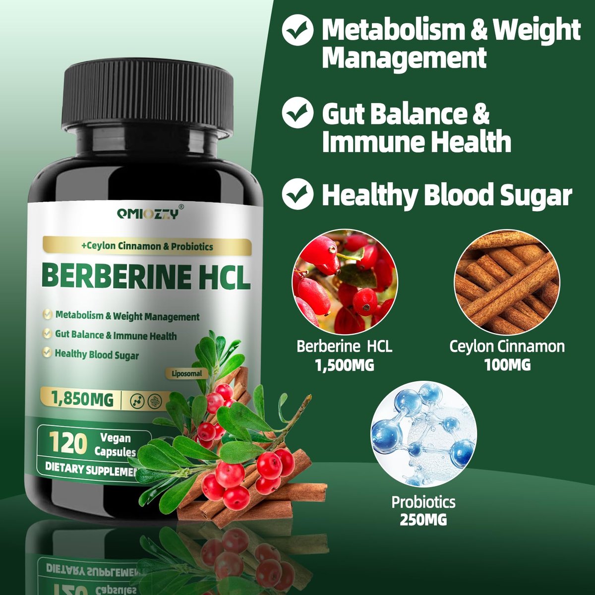 Berberin Supplement 1500mg, Liposomales Berberin mit Ceylon Zimt & Probiotika für Frauen und Männer, Himalaya Plus Extrakt, Unterstützt Darmgesundheit, Blutzuckerspiegel & Immunsystem, 60-Tage-Vorrat, 120 Kapseln