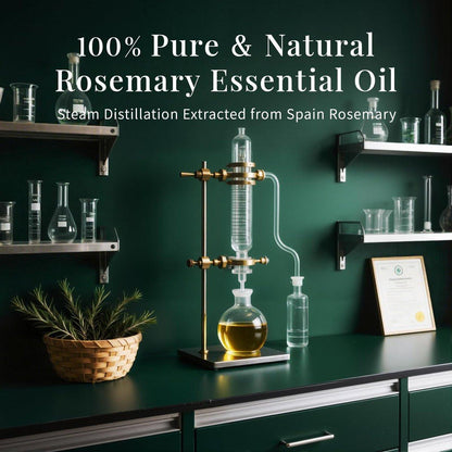 SU JUABA 118 ml Rosmarinöl, 100% reines natürliches Aromatherapieöl für Haarwachstum, Haut und Kopfhautpflege