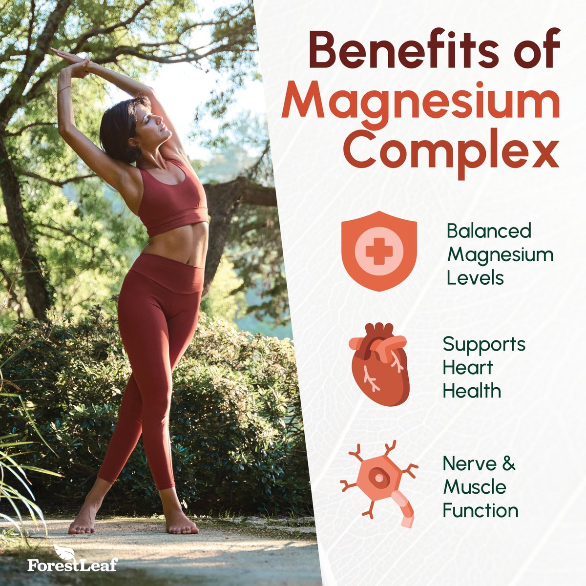 Magnesiumglycinat 500mg Komplex – Magnesium Kapseln für Schlaf & Ruhe – Nicht-GVO, 3rd Party getestet – 150 Kapseln für Frauen & Männer von ForestLeaf