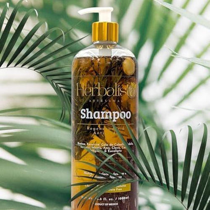 HERBALISTA Virales Kräuter-Shampoo 1000ml – Mit Rosmarin, Zimt, Anis, Nelke, Aloe, Ingwer & Eukalyptus – Stärkt, Regeneriert, Beschleunigt Haarwachstum – 100% Natürlich & Handgefertigt
