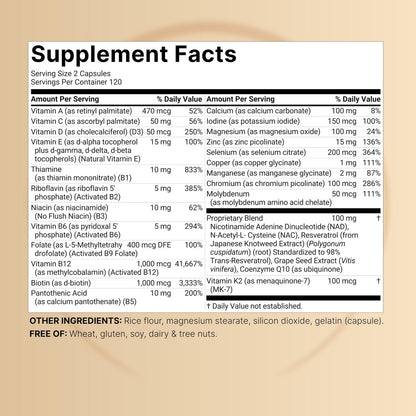 Methylierte Multivitamine für Männer und Frauen, 240 Kapseln | 27-in-1 Formel mit Vitamin B-Komplex, C, D3, K2, NAD, NAC, CoQ10, Resveratrol, Magnesium, Zink & mehr | Tägliche essentielle Vitamine