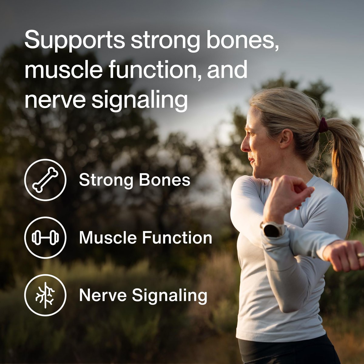 Momentous Calcium mit DimaCal Supplement - 250 mg Kapseln für grundlegende & Knochengesundheit - NSF zertifiziert für den Sport - glutenfrei - 60 Portionen