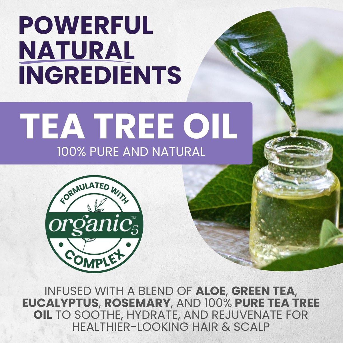 KESMEDIK Tea Tree Purple Shampoo & Conditioner Set mit Rosmarin & Aloe – Professioneller Anti-Brass-Toner, entfernt Gelbstiche für graues, blondiertes, weißes & blondes Haar, erfrischt die Kopfhaut, sulfatfrei
