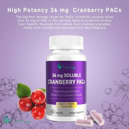 Kedicy Cranberry Kapseln für Frauen – 36 mg lösliche PACs aus ganzen New England Cranberries – Unterstützung der Harnwegsgesundheit & UTI-Abwehr – 60 Kapseln