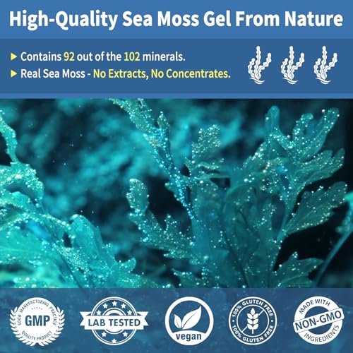 Fleamart Sea Moss Gel mit Blauer Spirulina, Schwarzkümmelöl, Ashwagandha, Ingwer und Vitamin C – Vegane Superfood-Nahrungsergänzung, 296 ml