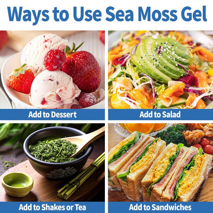 Fleamart Sea Moss Gel mit Blauer Spirulina, Schwarzkümmelöl, Ashwagandha, Ingwer und Vitamin C – Vegane Superfood-Nahrungsergänzung, 296 ml