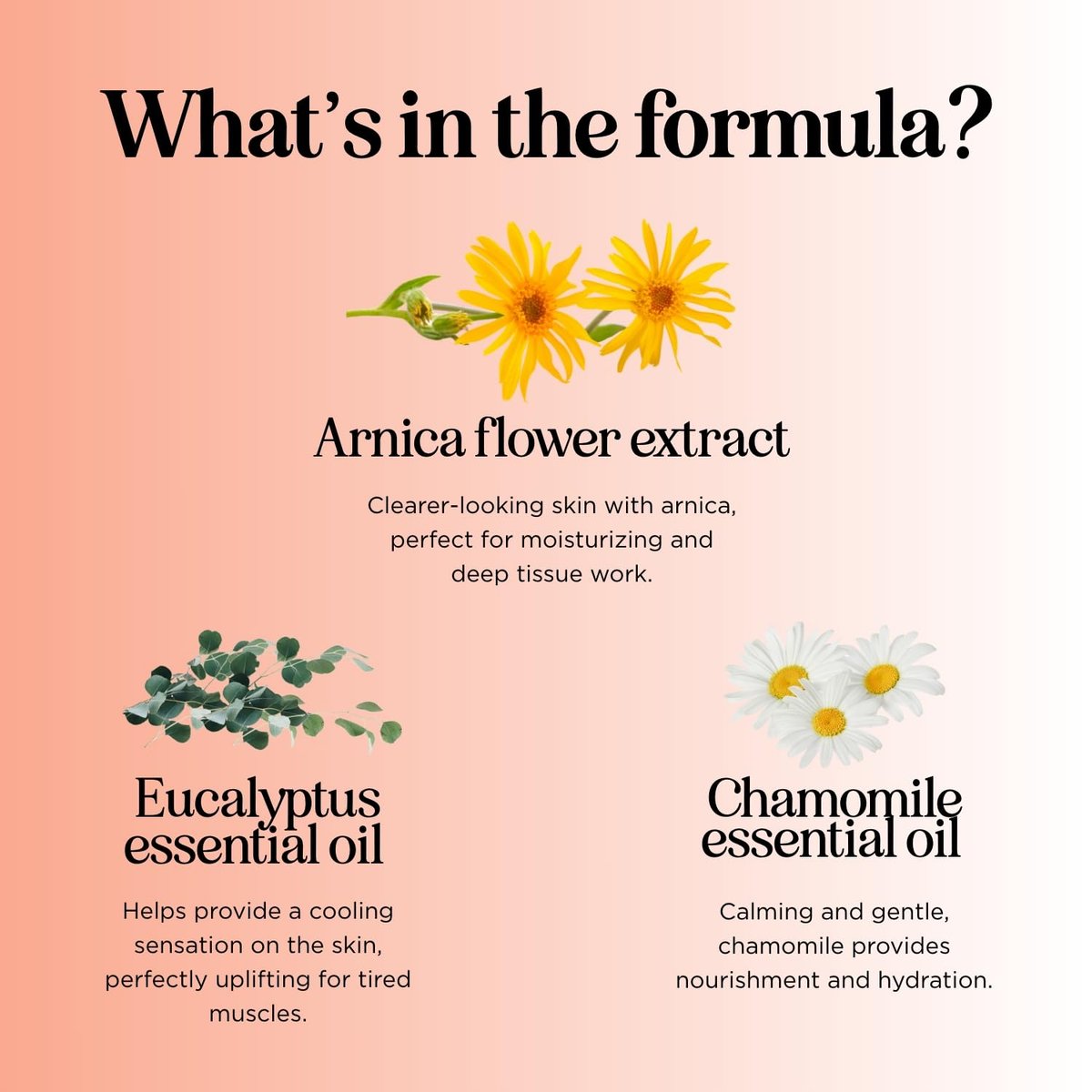 Arnica Massageöl zur Muskelentspannung - Beruhigendes Massageöl für den ganzen Körper mit Kamille, Lavendel, Pfefferminze & Rosmarin - Vegan & Ohne Gentechnik (240 ml)