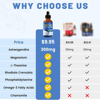 vivcmin 10-in-1 Cortisol-Supplement für Frauen & Männer – Stressabbau mit Ashwagandha, Magnesium, L-Theanin – Hormon-Balance-Tropfen für Schlaf & Stimmung (2 Fl Oz, Blaubeergeschmack)