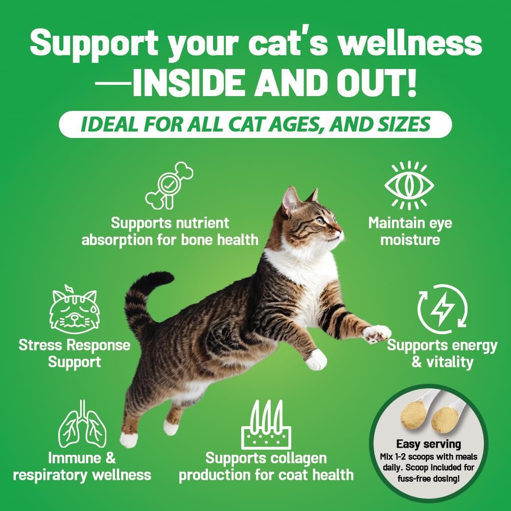 Guardian’s Choice 250mg L-Lysin für Katzen – Fortschrittliche Immununterstützung für Atemwege, Augen & Nase – Hühnerleber-Geschmack – Pulver für Kätzchen & Senioren – 200 Portionen