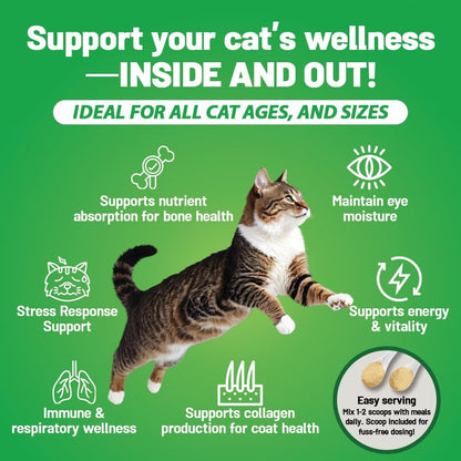 Guardian’s Choice 250mg L-Lysin für Katzen – Fortschrittliche Immununterstützung für Atemwege, Augen & Nase – Hühnerleber-Geschmack – Pulver für Kätzchen & Senioren – 200 Portionen