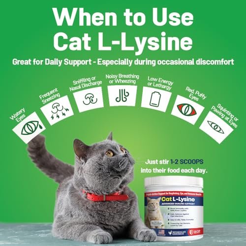 Guardian’s Choice 250mg L-Lysin für Katzen – Fortschrittliche Immununterstützung für Atemwege, Augen & Nase – Hühnerleber-Geschmack – Pulver für Kätzchen & Senioren – 200 Portionen