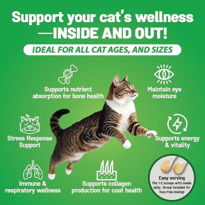 Guardian’s Choice 250mg L-Lysin für Katzen – Fortschrittliche Immununterstützung für Atemwege, Augen & Nase – Hühnerleber-Geschmack – Pulver für Kätzchen & Senioren – 200 Portionen