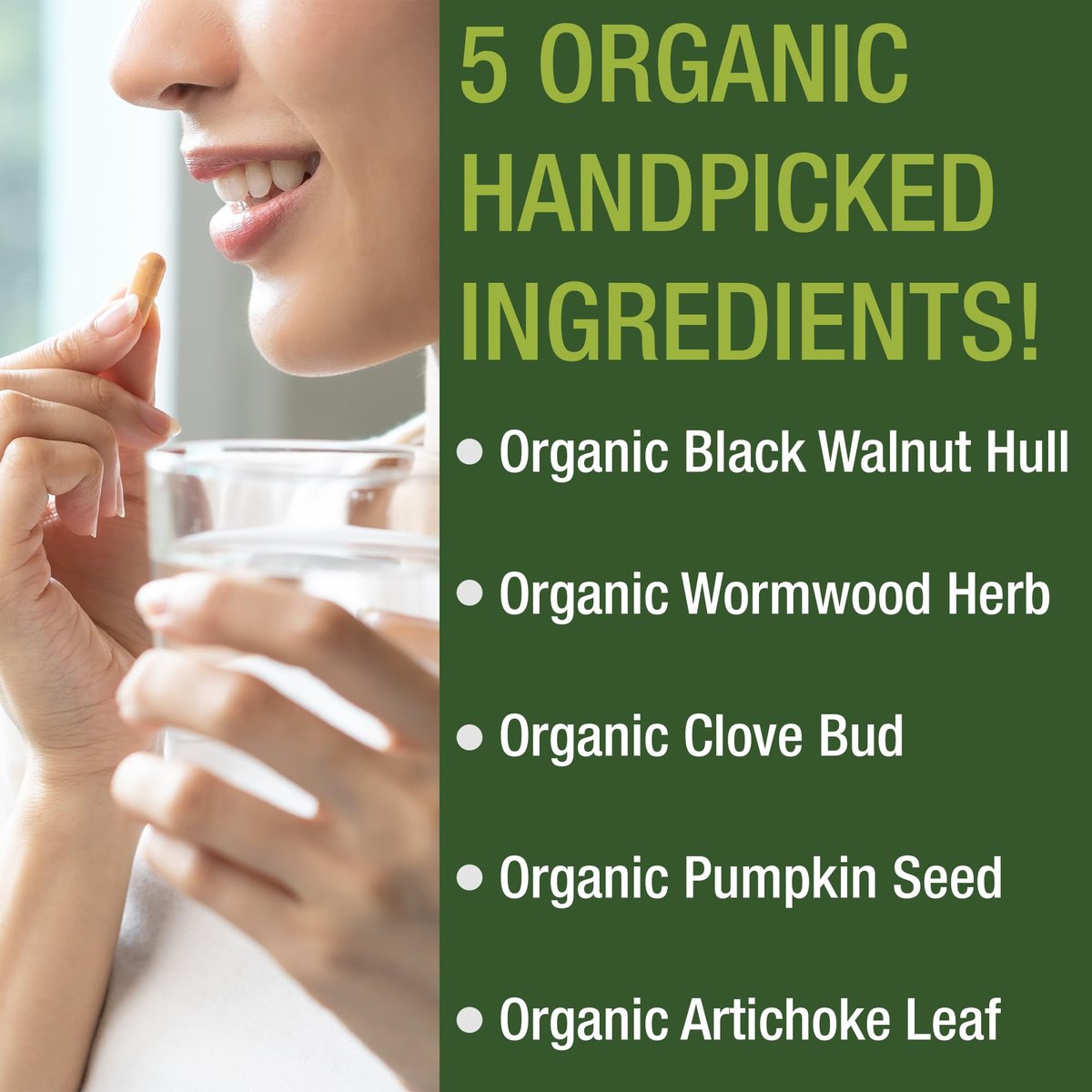 USDA Organic Wormwood Black Walnut Clove Cleanse für Menschen – Entgiftung & Darmunterstützung Kapseln für Erwachsene und Kinder mit Artischocke und Kürbiskernen