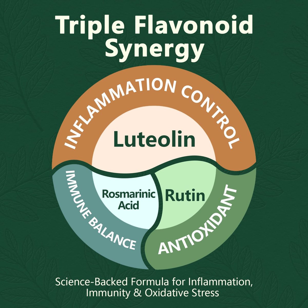 HyberVive Luteolin Kapseln, 98% Ultra-Reines Luteolin-Extrakt – Pflanzliches Flavonoid für Gehirngesundheit, Immununterstützung & Entzündungsgleichgewicht – Hergestellt in USA, 90 Vegane Kapseln