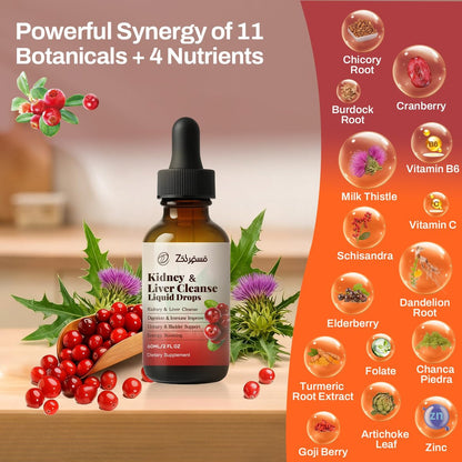 Pavintrix Nierenreinigung Tropfen mit Cranberry-Extrakt, Mariendistel, Chanca Piedra & Artischocke - Kräuterergänzung für Leber-Nieren-Detox & Harnwegsunterstützung, 60 ml