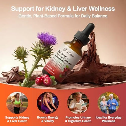 Pavintrix Nierenreinigung Tropfen mit Cranberry-Extrakt, Mariendistel, Chanca Piedra & Artischocke - Kräuterergänzung für Leber-Nieren-Detox & Harnwegsunterstützung, 60 ml