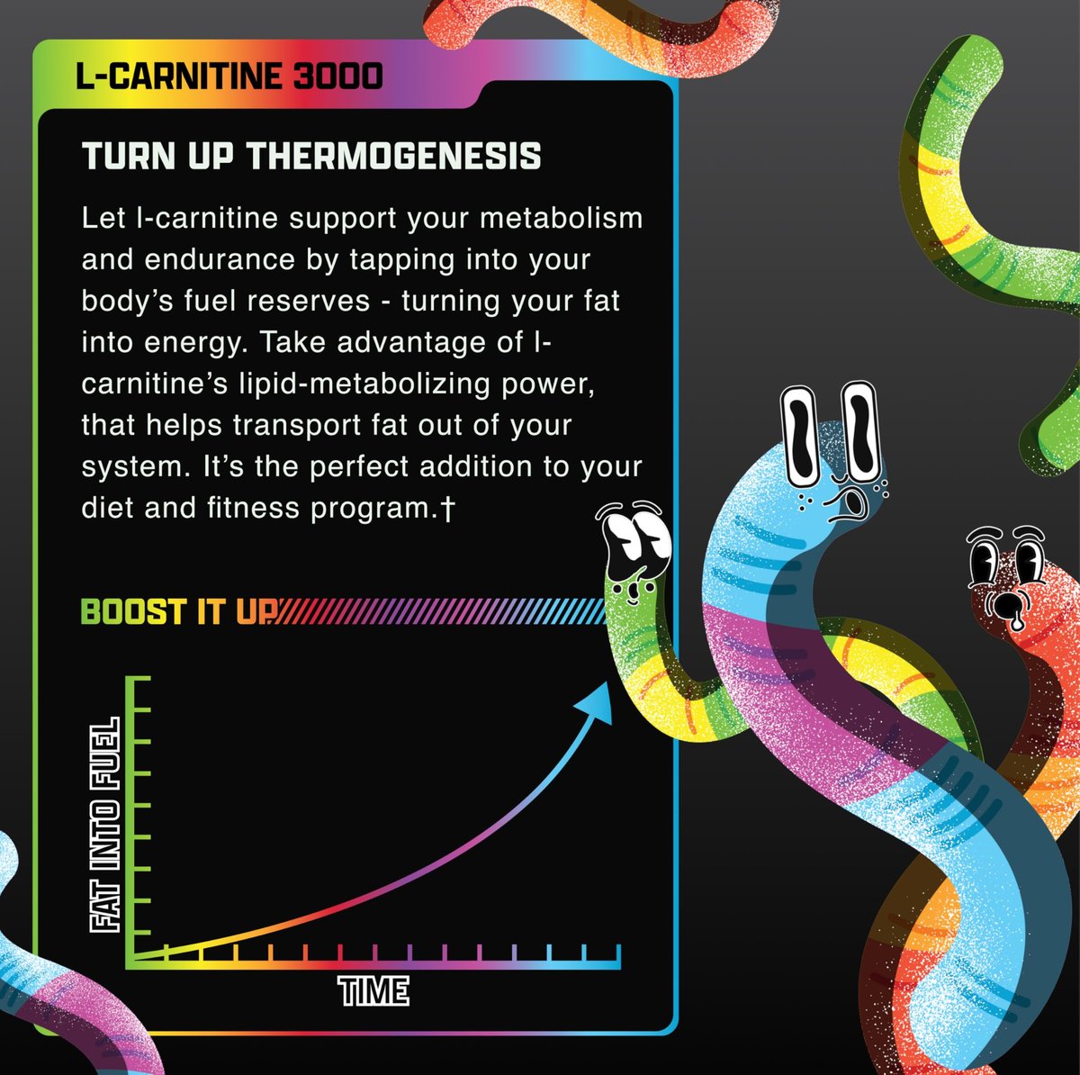 Nutrex Research L-Carnitin 3000 – Klinisch dosiertes flüssiges L-Carnitin für Energie, Stoffwechsel und Muskelregeneration – Leckerer Sour Gummy Worms Geschmack – Ohne Zucker, Kohlenhydrate und Stimulanzien – 31 Portionen