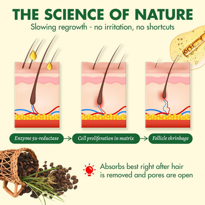Muun Cyperus Rotundus Öl – Reduziert unerwünschten Haarwuchs, verlangsamt das Nachwachsen – After-Shave-Öl für Gesicht, Bikini, Achseln, Körper – Feuchtigkeitsspendender & nährender Haarwuchshemmer, 100% natürlich