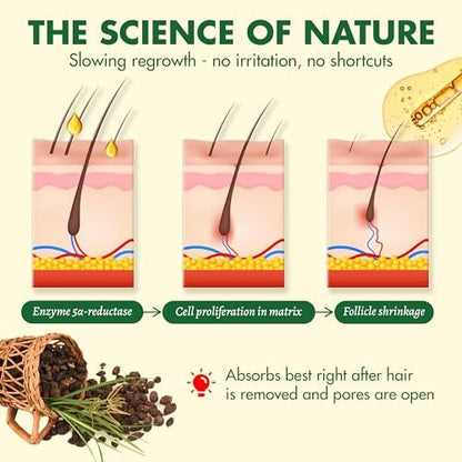 Muun Cyperus Rotundus Öl – Reduziert unerwünschten Haarwuchs, verlangsamt das Nachwachsen – After-Shave-Öl für Gesicht, Bikini, Achseln, Körper – Feuchtigkeitsspendender & nährender Haarwuchshemmer, 100% natürlich