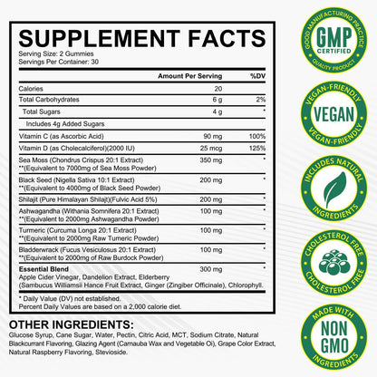Vceeoy Sea Moss Gummies – Meeresalgummi mit Schwarzkümmelöl, Ashwagandha, Shilajit & Ingwer für Männer & Frauen, 60 Gummis