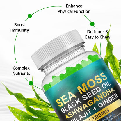 Vceeoy Sea Moss Gummies – Meeresalgummi mit Schwarzkümmelöl, Ashwagandha, Shilajit & Ingwer für Männer & Frauen, 60 Gummis