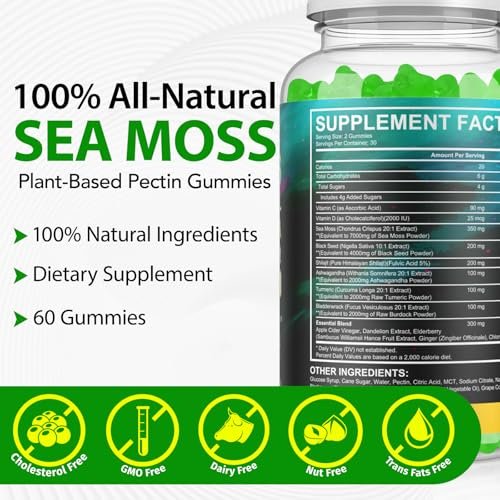 Vceeoy Sea Moss Gummies – Meeresalgummi mit Schwarzkümmelöl, Ashwagandha, Shilajit & Ingwer für Männer & Frauen, 60 Gummis