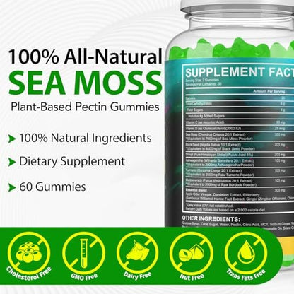 Vceeoy Sea Moss Gummies – Meeresalgummi mit Schwarzkümmelöl, Ashwagandha, Shilajit & Ingwer für Männer & Frauen, 60 Gummis