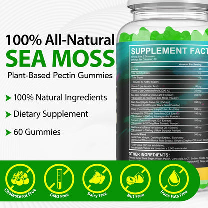 Vceeoy Sea Moss Gummies – Meeresalgummi mit Schwarzkümmelöl, Ashwagandha, Shilajit & Ingwer für Männer & Frauen, 60 Gummis