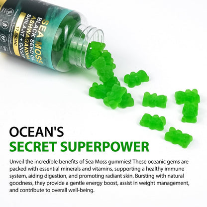 Vceeoy Sea Moss Gummies – Meeresalgummi mit Schwarzkümmelöl, Ashwagandha, Shilajit & Ingwer für Männer & Frauen, 60 Gummis