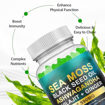 Vceeoy Sea Moss Gummies – Meeresalgummi mit Schwarzkümmelöl, Ashwagandha, Shilajit & Ingwer für Männer & Frauen, 60 Gummis