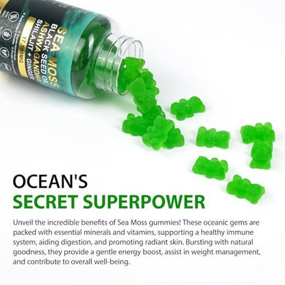 Vceeoy Sea Moss Gummies – Meeresalgummi mit Schwarzkümmelöl, Ashwagandha, Shilajit & Ingwer für Männer & Frauen, 60 Gummis
