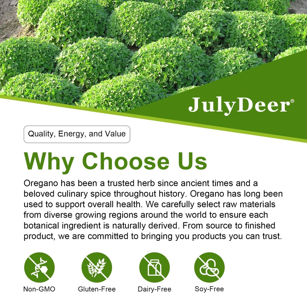JulyDeer Oregano-Öl mit Schwarzkümmelöl – 2-in-1 Nahrungsergänzung mit hochkonzentriertem Carvacrol & Thymochinon für Antioxidantien & Immununterstützung, Non-GMO, 60 Softgels