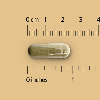 Amazon Basics Ingwerwurzel Kapseln, 550 mg, 100 Stück
