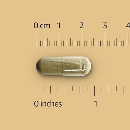Amazon Basics Ingwerwurzel Kapseln, 550 mg, 100 Stück