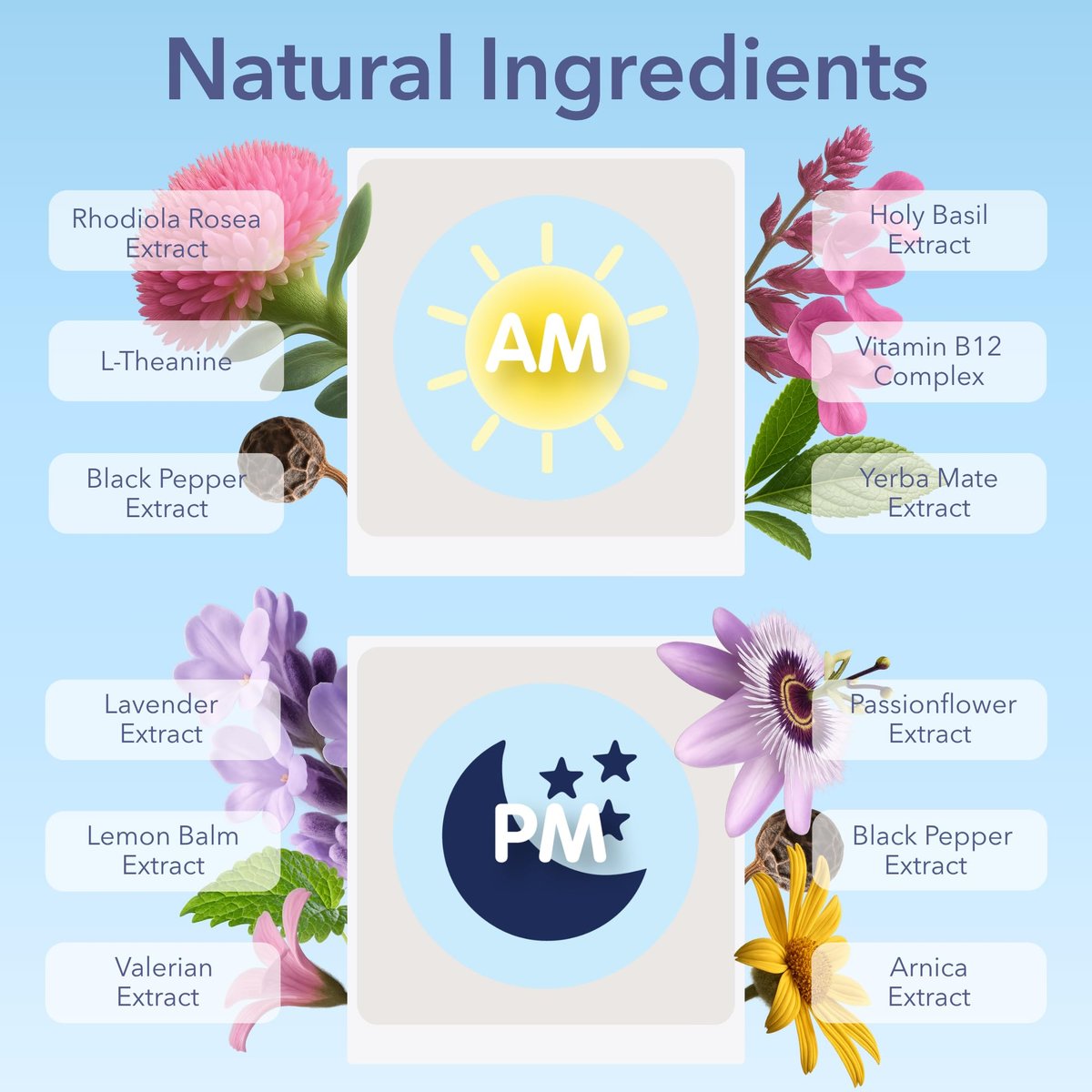Laki Naturals Jet Lag AM & PM Travel Patches (1 Pack, 8 Stück) – Natürliche Tages- & Nachtunterstützung für Reisende – Energie, Fokus & erholsamer Schlaf – mit B12, Baldrian, Lavendel & mehr