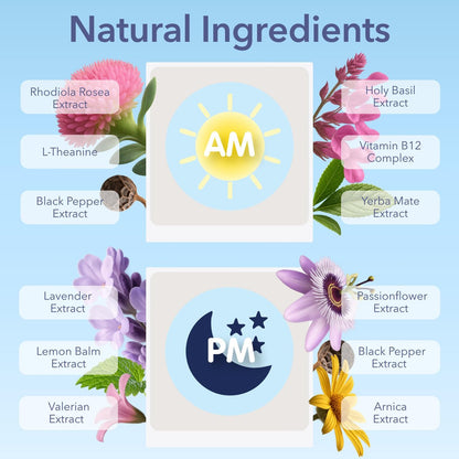 Laki Naturals Jet Lag AM & PM Travel Patches (1 Pack, 8 Stück) – Natürliche Tages- & Nachtunterstützung für Reisende – Energie, Fokus & erholsamer Schlaf – mit B12, Baldrian, Lavendel & mehr