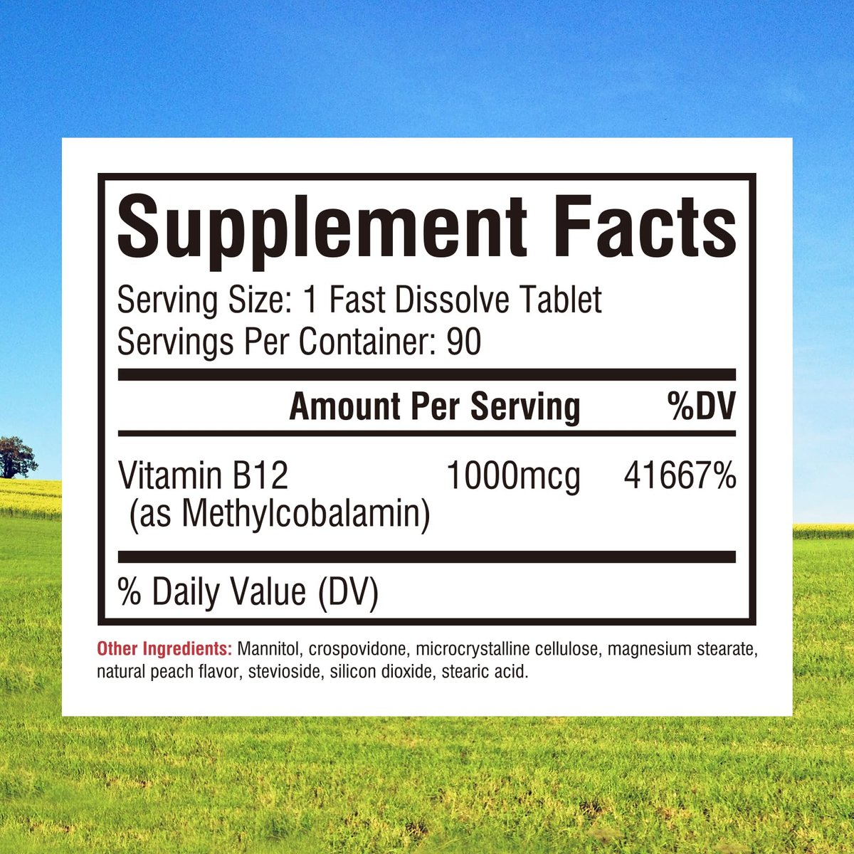 Innate Vitality Vitamin B12 1000mcg – Sublingual Methylcobalamin, für Energiestoffwechsel, geistige Klarheit, Nervensystem, Pfirsichgeschmack, zuckerfrei, 90 schnell lösliche Tabletten