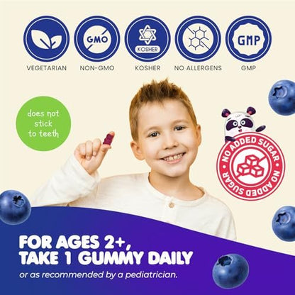 DR. MORITZ Zuckerfreie Beruhigende Magnesium-Gummibärchen für Kinder und Erwachsene - Nicht-GMO Magnesiumcitrat-Gummibärchen - Blaubeergeschmack - 2er-Pack (60 Stück)